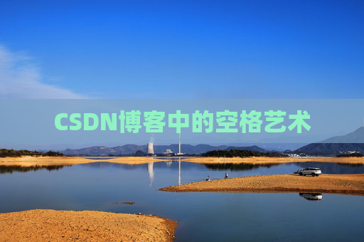 CSDN博客中的空格艺术